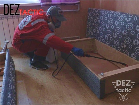 Знищення бліх у Дніпрі