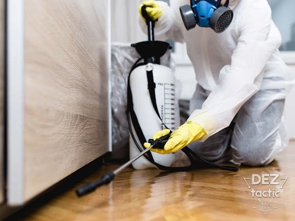 Коригувальні дії при виявленні шкідників: як діяти згідно системи ХАССП