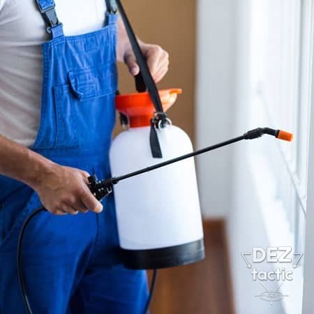 Дератизація на складах і логістичних комплексах: запобігання збиткам від гризунів
