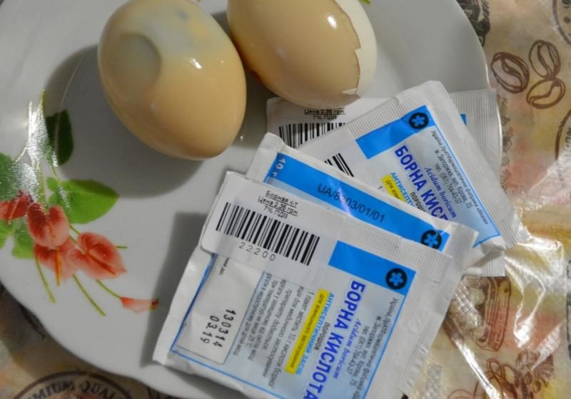 Борная кислота от тараканов
